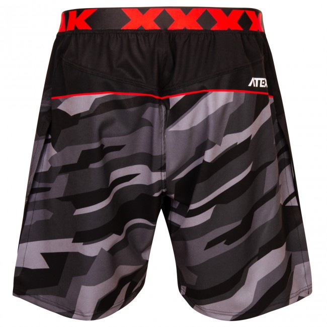 MMA shorts BJP